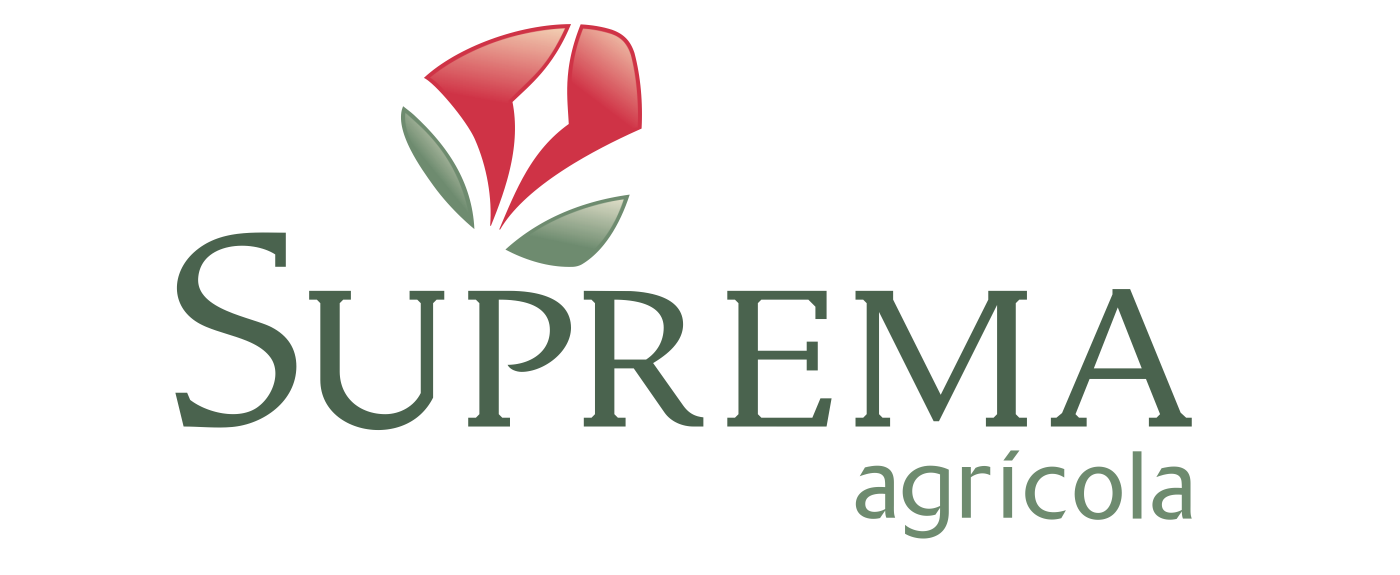Auth Logo